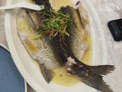 蒸鲩鱼-江海酒家(赤岗店)