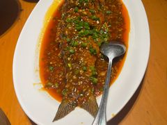豆瓣草鱼-永乐饭店