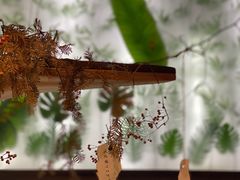 -竹子咖啡bamboo coffee
