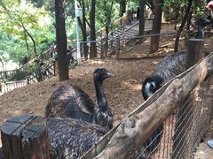 -昆明动物园