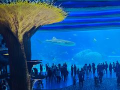 -珠海长隆海洋王国