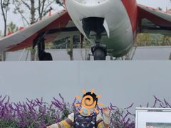 -成飞公园
