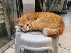 -新记餐厅(香槟大厦店)