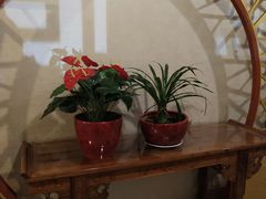 -龙隆昌·鲜品火锅·江湖烤鱼
