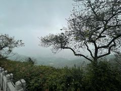 -广州市白云山风景名胜区