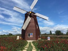 -北纬44度·金珠花海休闲农业旅游景区