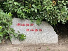 -莲湖公园