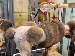 -萌兽医馆·眼科·异宠专科(三里屯店)