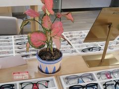 -康利眼镜·蔡司战略合作店(龙泉书房店)