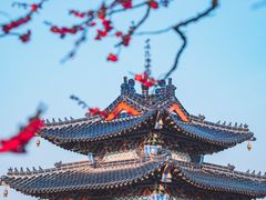 -梅花山(明孝陵内)