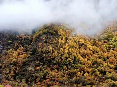 -叠溪松坪沟景区