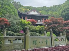 -十八棵（老龙井）御茶园(老龙井店)