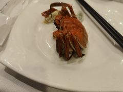 -花家怡园