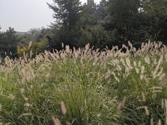 -玲珑塔公园