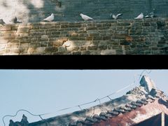 -洛阳白马寺