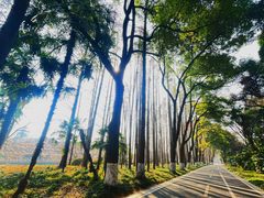 -采石矶景区