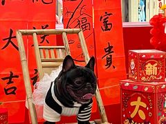 -龙湖成都上城天街
