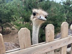 -山西乌金山旅游区