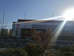 -山东理工大学