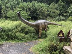 -武陵山森林公园