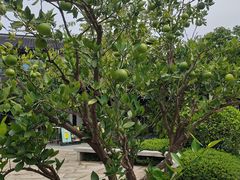 -雅达·阳羡溪山小镇中心