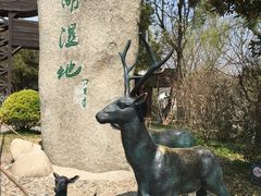 -溱湖国家湿地公园