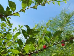 -帽儿山国家森林公园