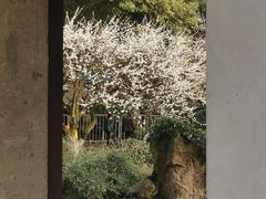 -杭州黄龙洞