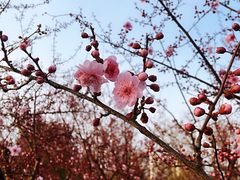 -白塘生态植物园