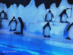 -济南方特东方神画