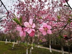 -白塘生态植物园