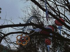 -北京石景山游乐园