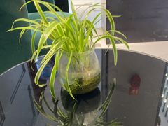 -锦江之星(南京新街口店)