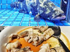 碎蒸大龙趸鱼块-徐记海鲜(汉城湖|太奥店)