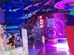 -烟台海昌鲸鲨海洋公园