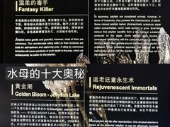 -上海海洋水族馆