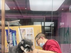 -FAELING PETS美天灵宠物(富力广场店)