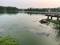 -美兰湖景区