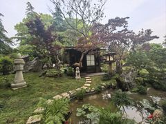 -上海鲜花港