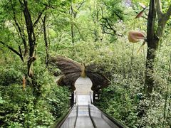 -天目湖山水园