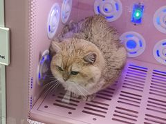 -贝康宠物医院·犬猫全科·小动物特色诊疗中心(东环路店)