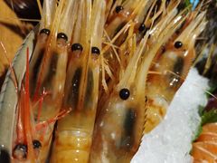 牡丹虾刺身-和彩放题(渔阳店)