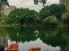 -晓港公园