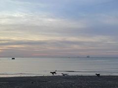 -江山半岛白浪滩景区
