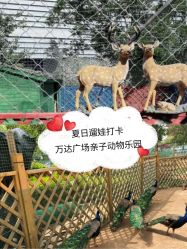 -萌宠亲子动物乐园(槐房万达店)