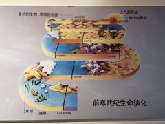 -安徽省地质博物馆