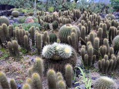 -Club Med地中海俱乐部·桂林度假村