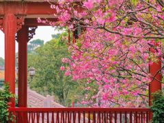 -宝墨园景区