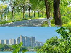 -广东花都湖国家湿地公园
