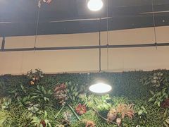 -味之绝热血美蛙鱼火锅(中坝店)